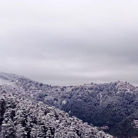 Shimla Regency Hotel Bagian luar foto